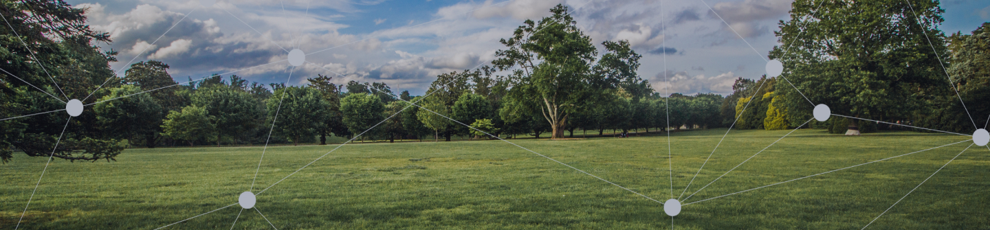 Green field